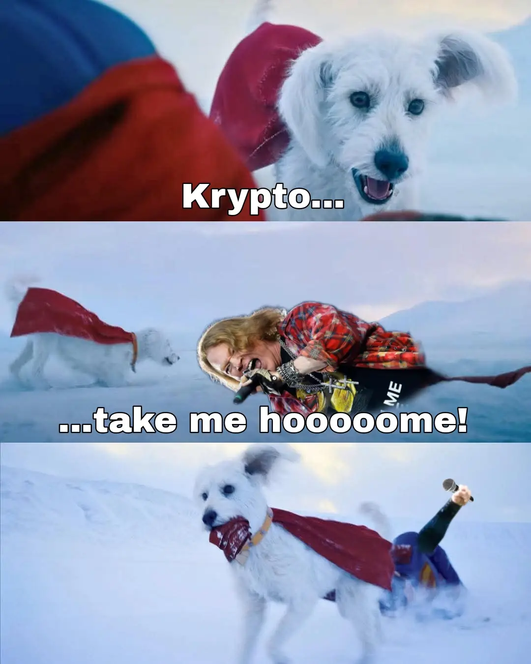 A three-panel meme featuring a white dog wearing a red cape. The top panel shows the dog looking forward with text…