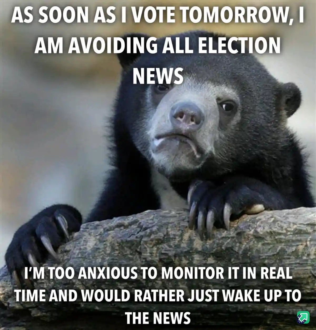 Time for my hibernation mode!