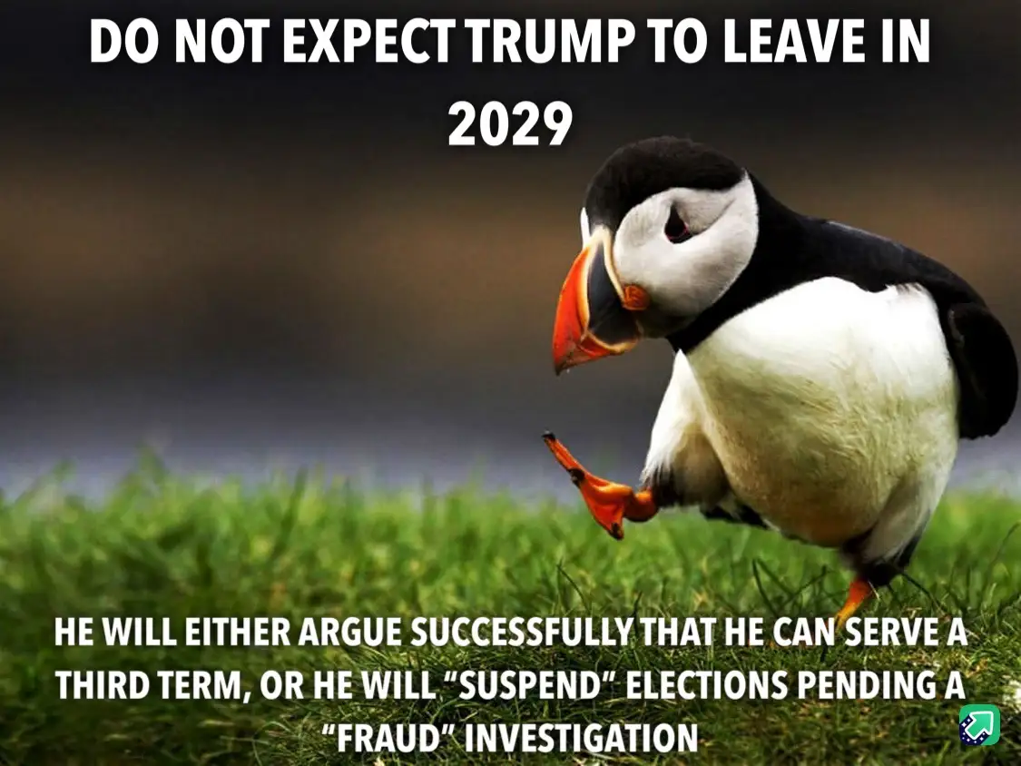 A photograph of a puffin standing on green grass, looking down with one foot lifted, overlaid with bold white text stating…