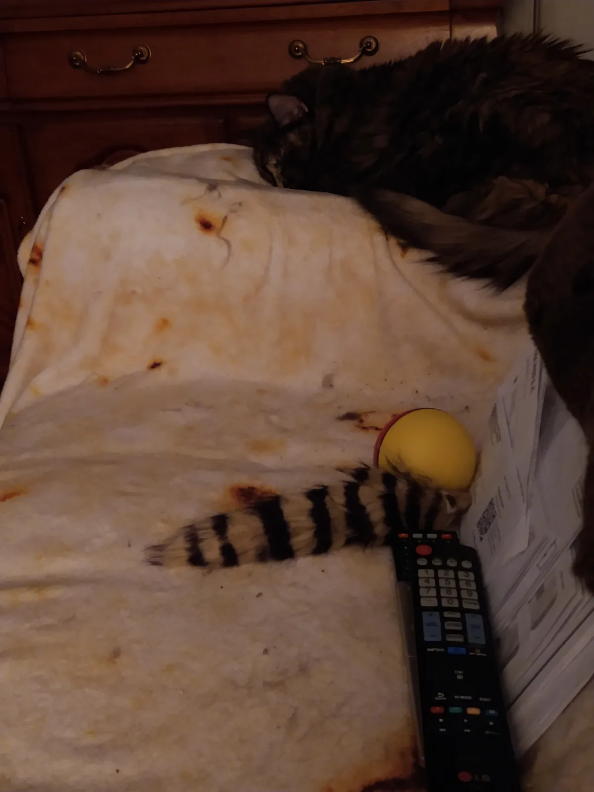 A dark-furred cat is curled up asleep on a stained white blanket, with its striped tail visible near a yellow ball, a TV…