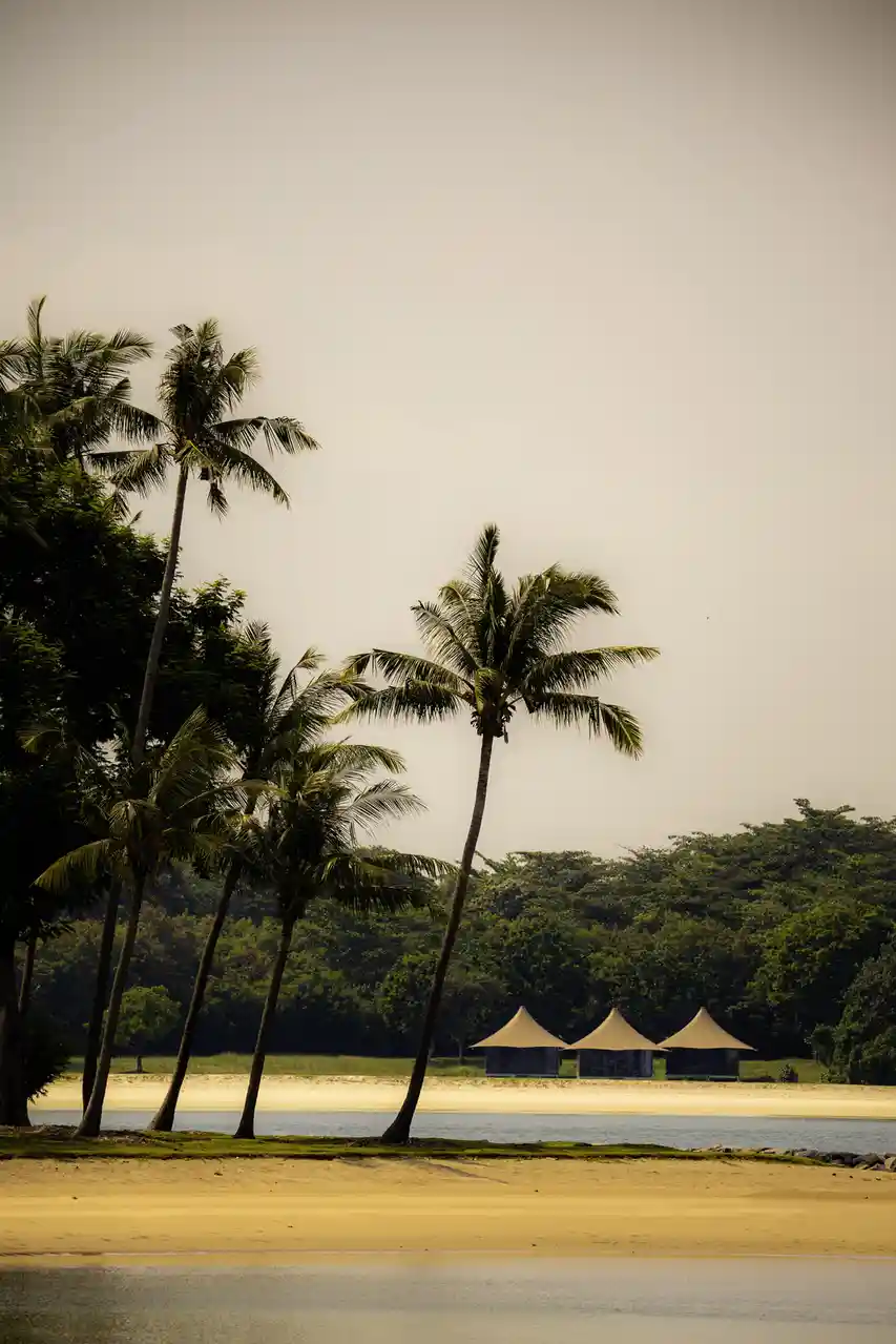A serene tropical beach scene with palm trees, sandy shores, and three beige tent-like structures in the distance. The…
