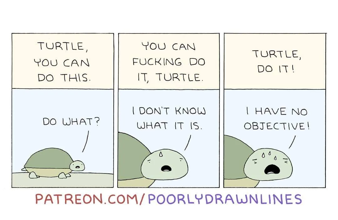 A three-panel comic strip featuring a cartoon turtle. In the first panel, a voice encourages the turtle, 'TURTLE, YOU CAN DO…