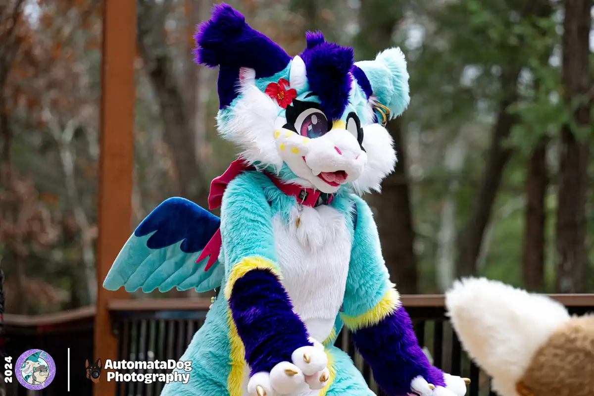 A person in a colorful fursuit of a dragon-like creature with cyan, purple, and white fur, large eyes, and wings, is sitting…