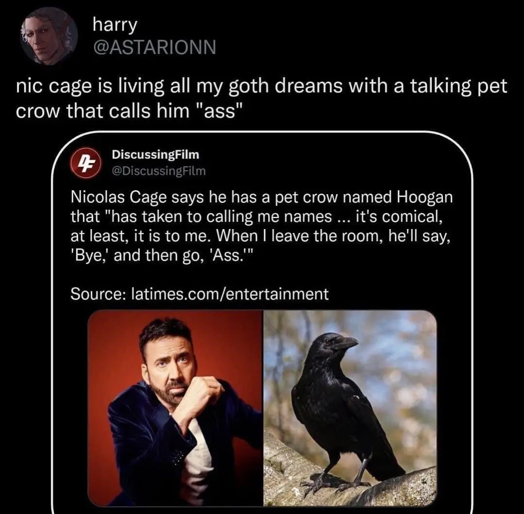 The image shows a tweet from user 'harry' (@ASTARIONN) that reads 'nic cage is living all my goth dreams with a talking pet…
