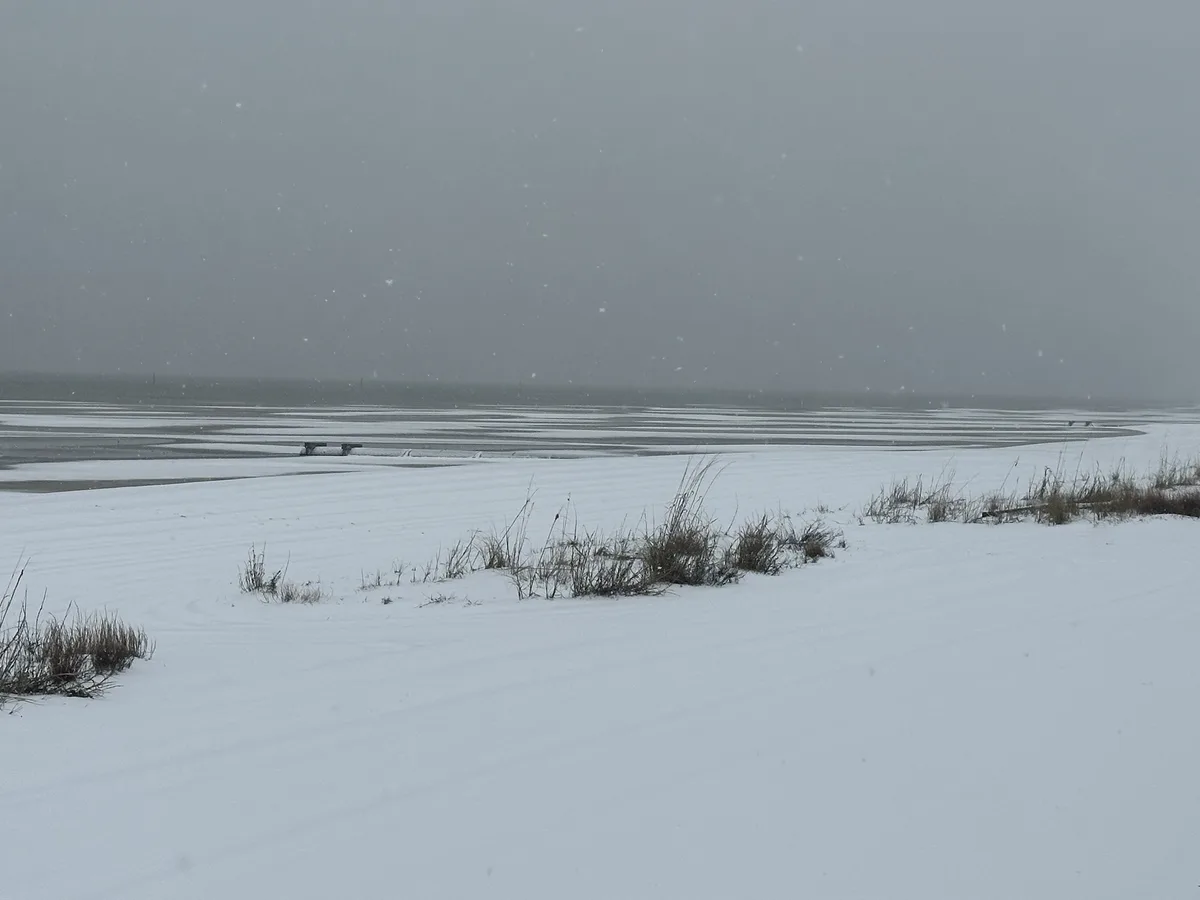 A snowy beach scene with a lone bench in the distance, snow falling, and sparse grass poking through the snow. The overlaid…