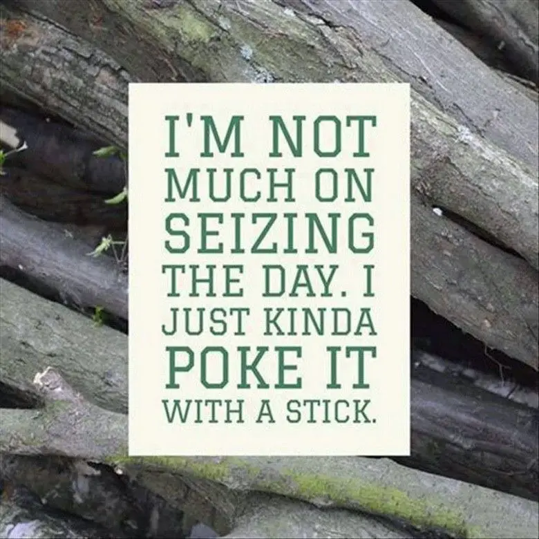 A cream-colored rectangular sign with green, bold, capitalized text is placed against a background of weathered, mossy logs…