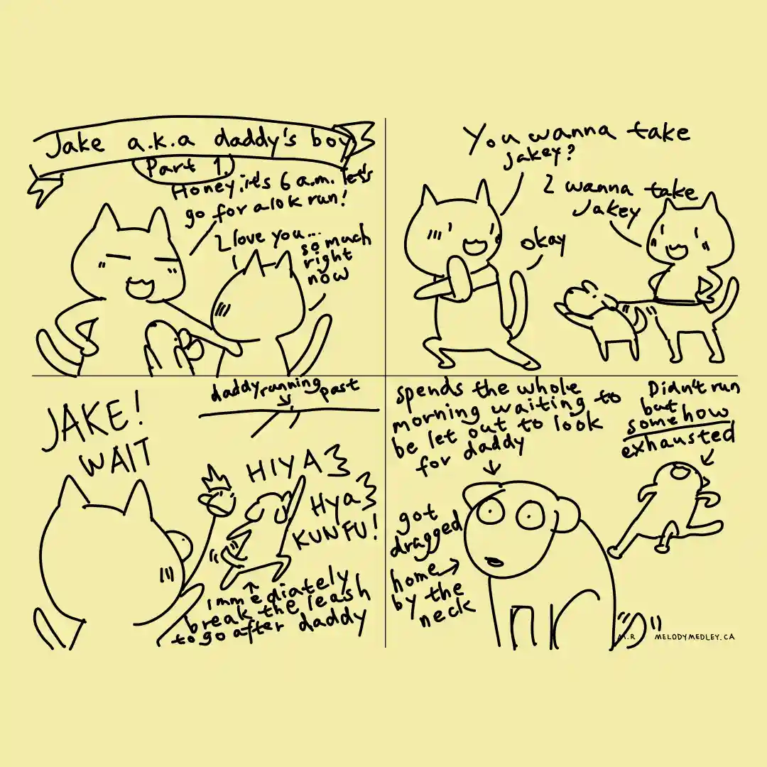 A four-panel comic strip drawn in a simple black-and-white line art style on a pale yellow background, depicting a cat…