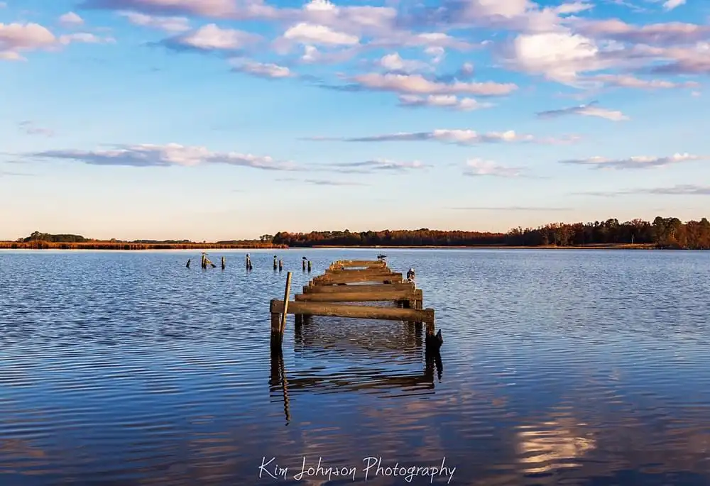 A serene photograph of a weathered wooden pier extending into calm water under a partly cloudy sky, with birds perched on…