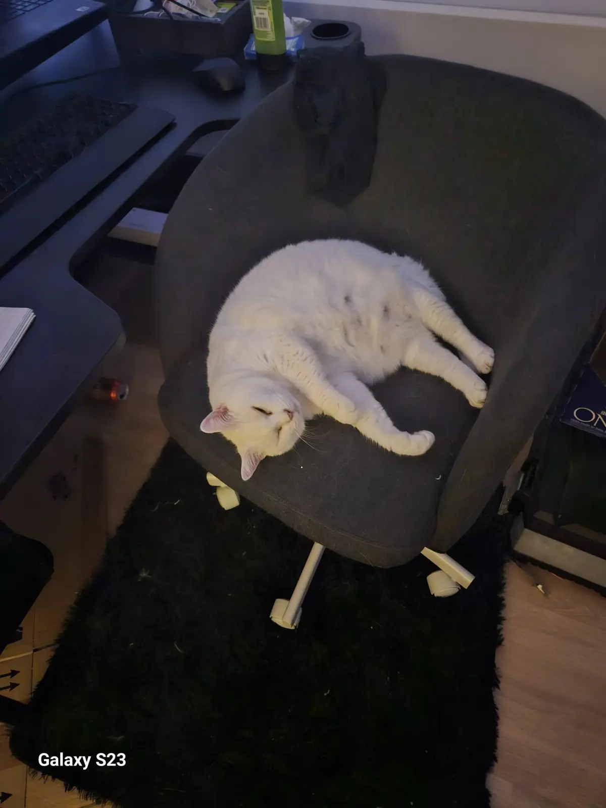 A white cat is curled up and sleeping soundly on a dark gray office chair, positioned next to a desk with a keyboard and…