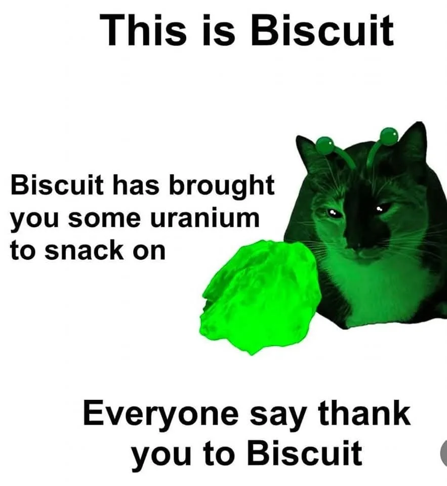A Heartfelt Thank You to Biscuit