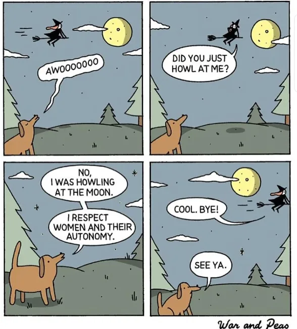 A four-panel comic strip shows a dog howling at the moon, startling a witch flying on a broomstick. The witch asks if the…