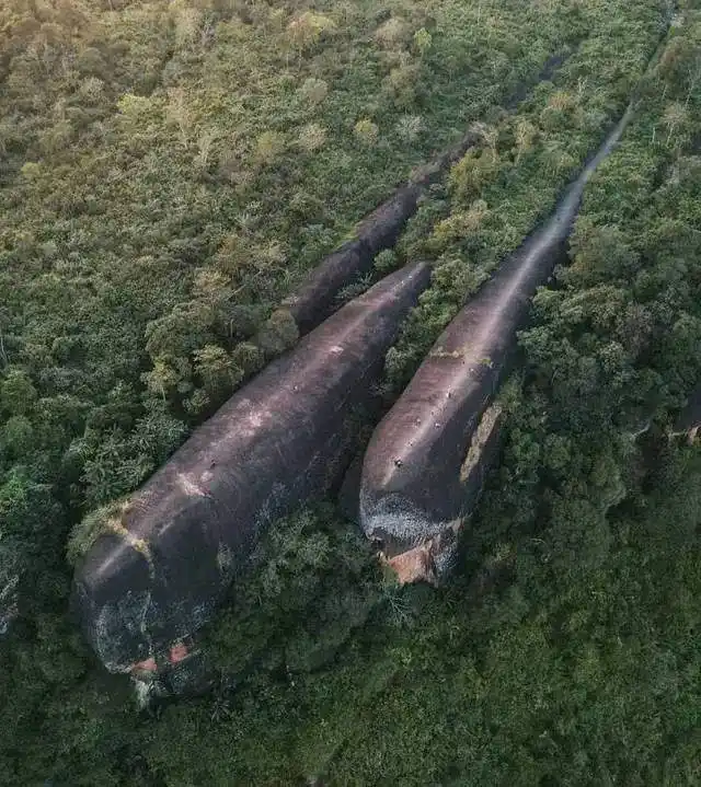 An aerial view shows three massive, dark, carrot-shaped rock formations nestled in a dense green forest. The rocks are…