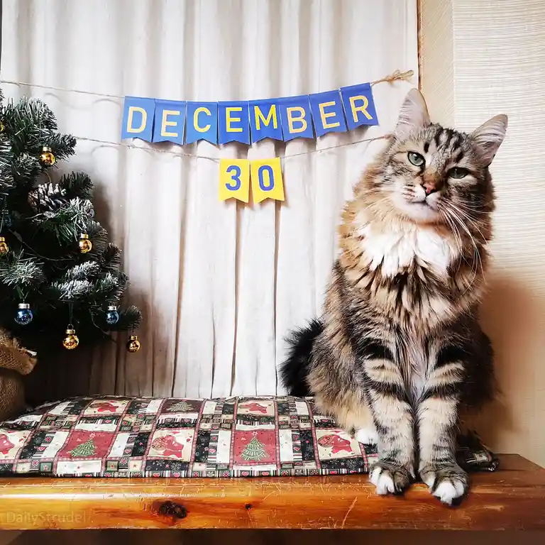The Significance of December 30