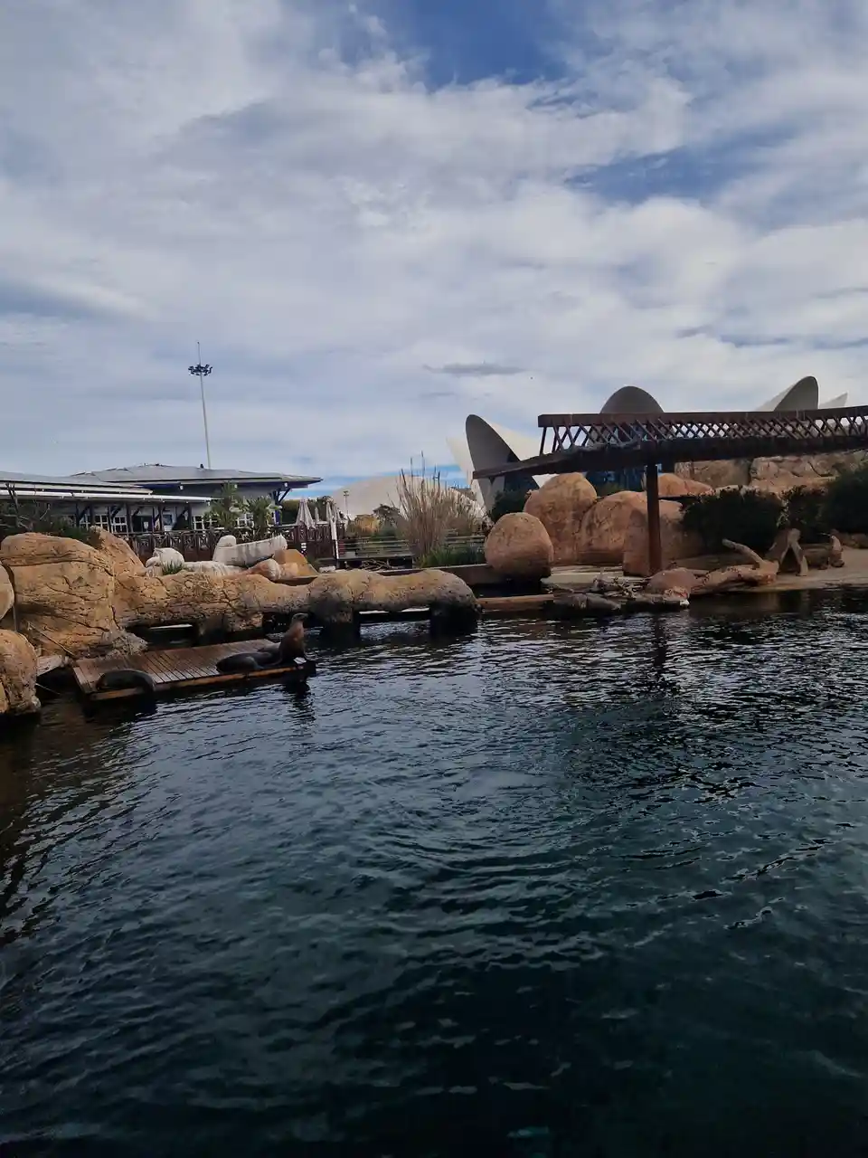 A photograph of sea lions resting on a wooden platform in a man-made pool surrounded by large rocks and modern architecture…