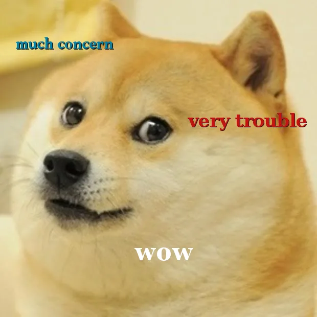A close-up of a Shiba Inu dog with wide, slightly startled eyes and a neutral expression, overlaid with blue text 'much…