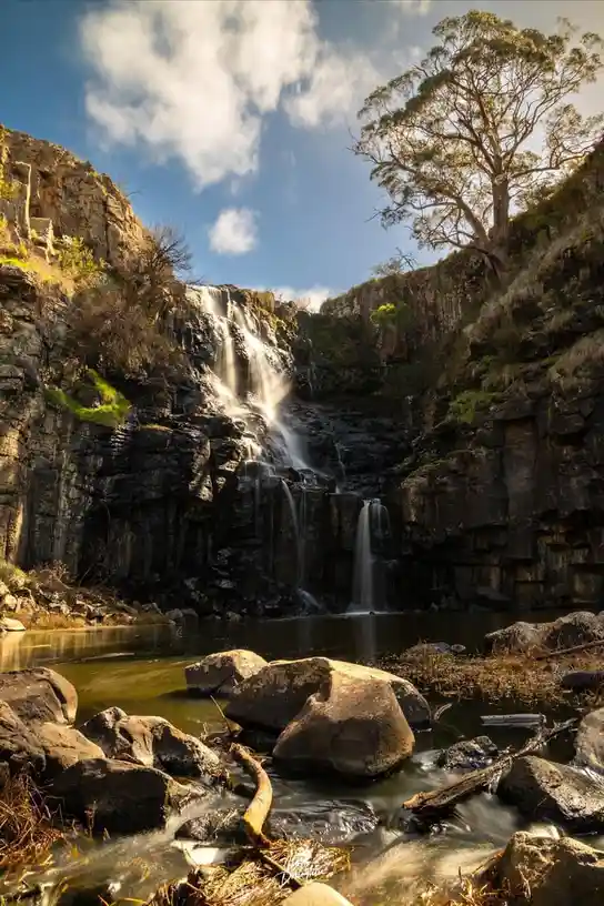 A Glimpse into the Wonders of Australia