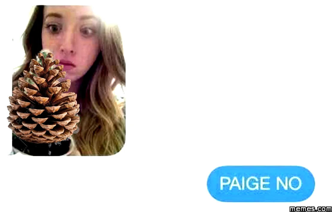 A close-up photo shows a young woman with a surprised or confused expression, holding a large pinecone directly in front of…