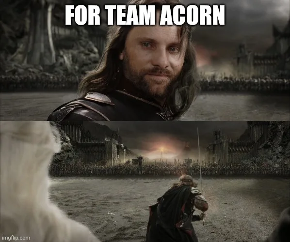 The image is a two-panel meme from 'The Lord of the Rings: The Return of the King'. The top panel shows Aragorn looking…