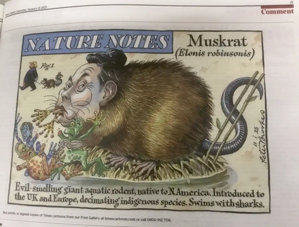 A newspaper cartoon from 'The Times' under 'Nature Notes' depicts a giant rodent with a human face resembling Elon Musk…