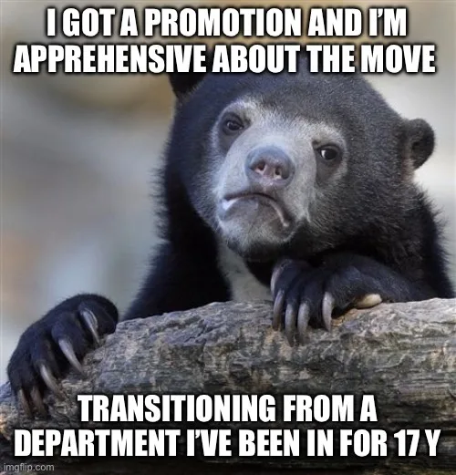 A black bear with a worried, anxious expression is leaning on a log. The overlaid text reads 'I GOT A PROMOTION AND I'M…