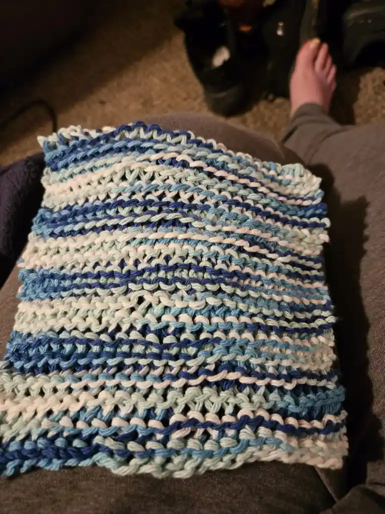 I just knitted a cozy dishrag!