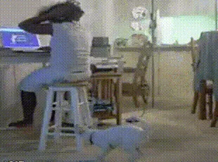 A six-panel sequence shows a person sitting on a stool at a desk, gradually falling backward off the stool as their dog runs…