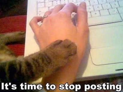 A close-up photo shows a person's hand resting on a white laptop keyboard, with a tabby cat's paw gently resting on the…