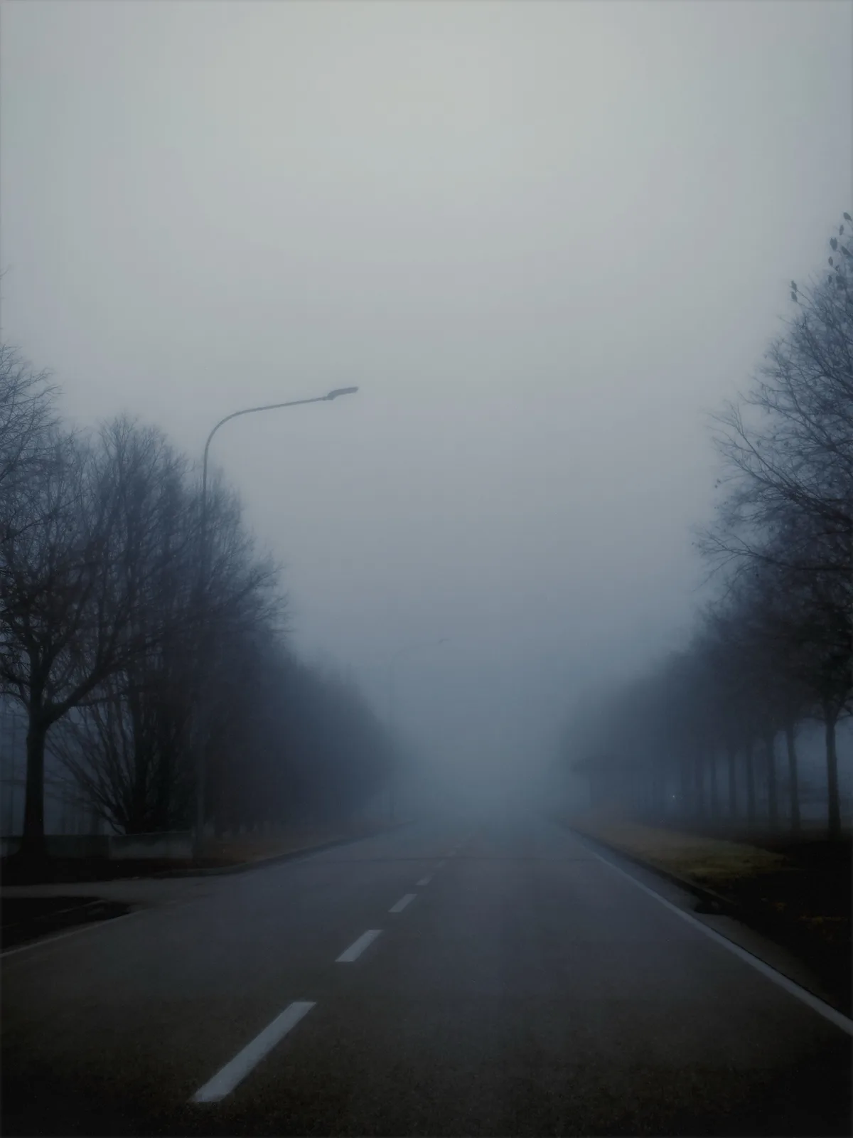 A foggy, desolate road stretches into the distance, flanked by bare trees and streetlights, with the overlaid text reading…