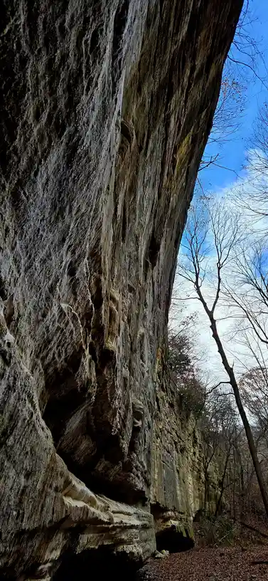 A low-angle photo shows a massive, textured rock cliff dominating the frame, with bare trees and a blue sky visible at the…