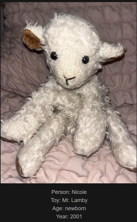 A white, fluffy stuffed lamb toy with brown ears and black button eyes sits on a pink quilted fabric. Text overlaid at the…