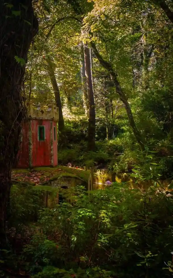 The Shack: A Place of Mystery