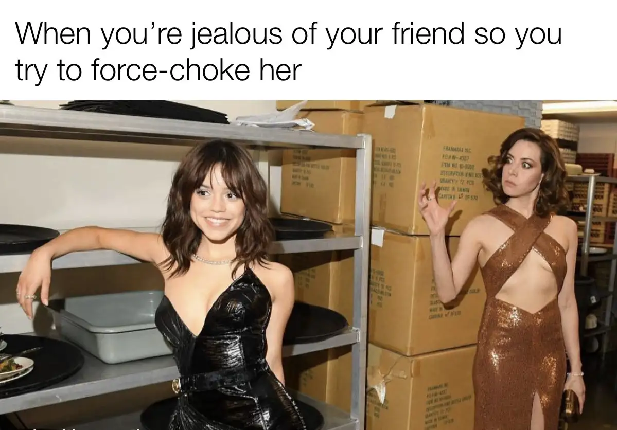 May the Memes Be Forever in Your Favor!