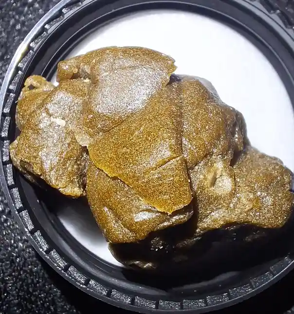 a close-up photo shows a shiny, amber-colored, irregularly shaped lump of resin sitting inside a black plastic container…
