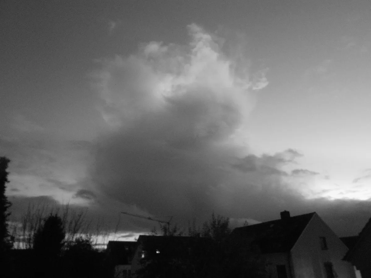 A Stunning Black-and-White Capture of Regensburg, November 2023
