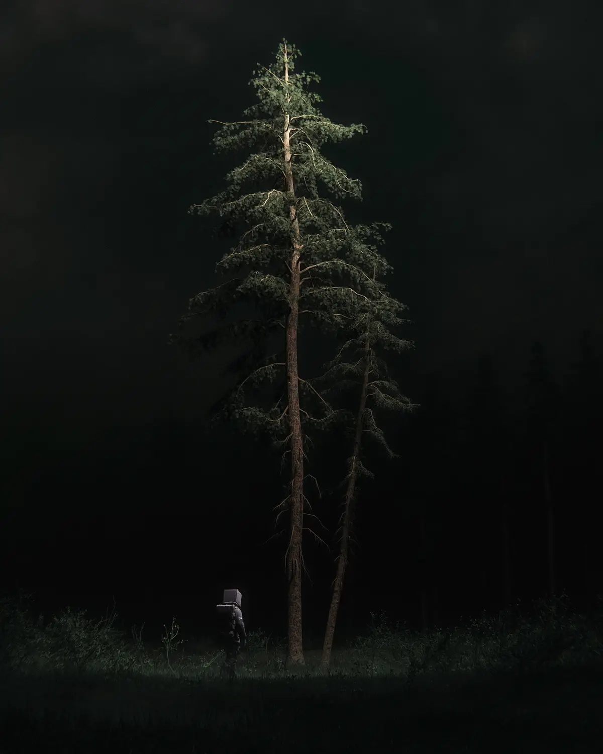 A lone figure in a dark forest at night, wearing a backpack and a box-like helmet, stands facing a tall, solitary pine tree…