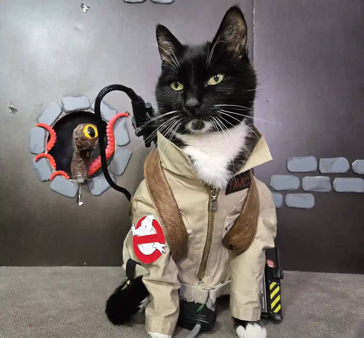 Ghostbust-purr: The purr-fect blend of spooky and cute.