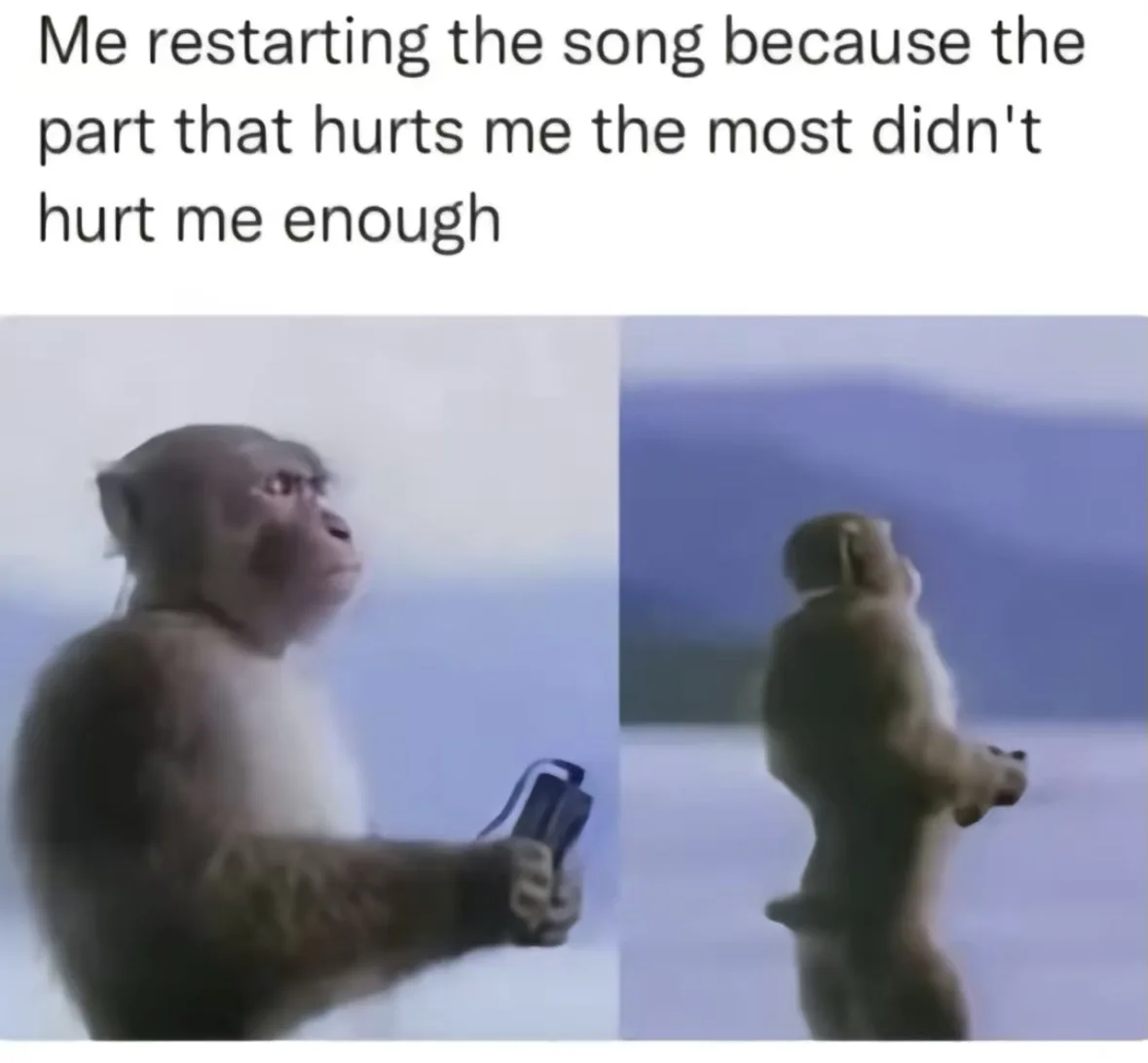 A split image shows a monkey holding a device in the left panel and standing upright in the right panel, with overlaid text…