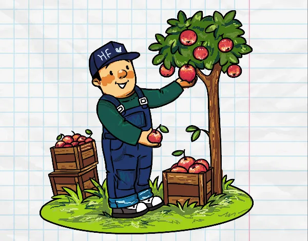 A cartoon man in overalls and a cap labeled 'HF' picks apples from a tree while standing next to crates full of apples on a…