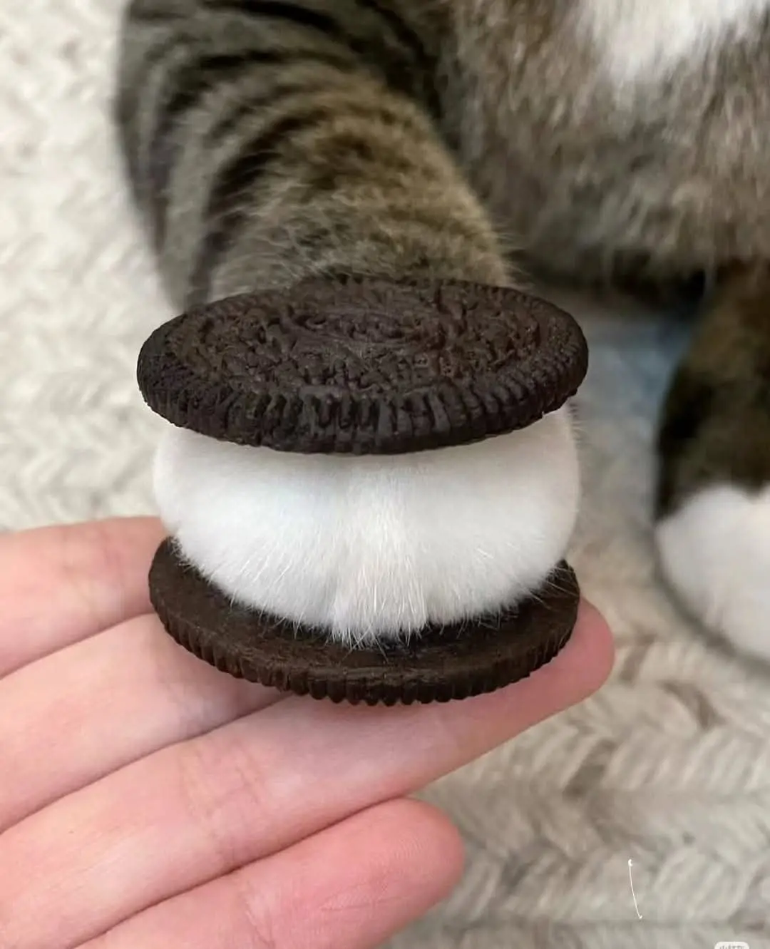Quadruple the Deliciousness!