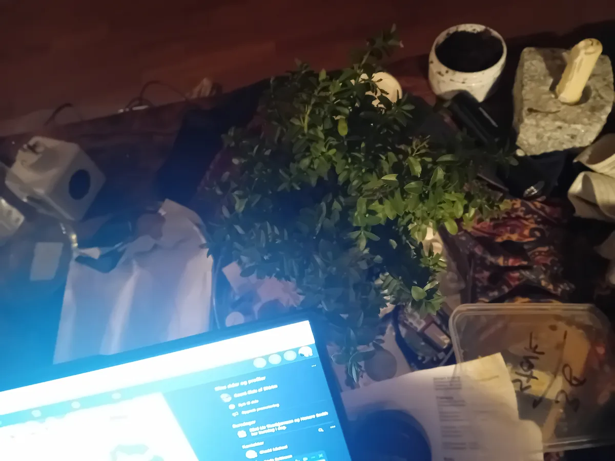 A cluttered desk with a laptop, a potted plant, a candle, and various items under dim lighting. The laptop screen shows a…