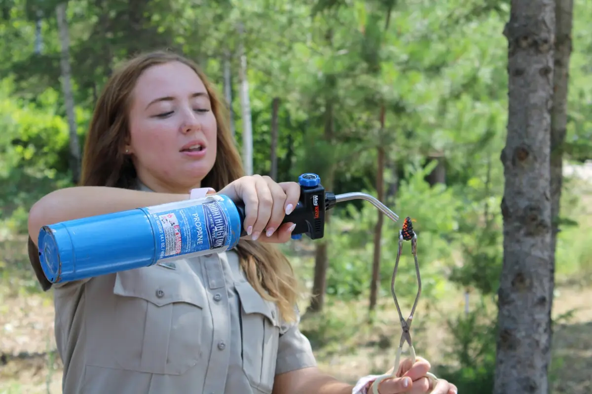 A young woman in a khaki shirt stands outdoors in a forest, holding a blue propane torch in one hand and tongs with a small…