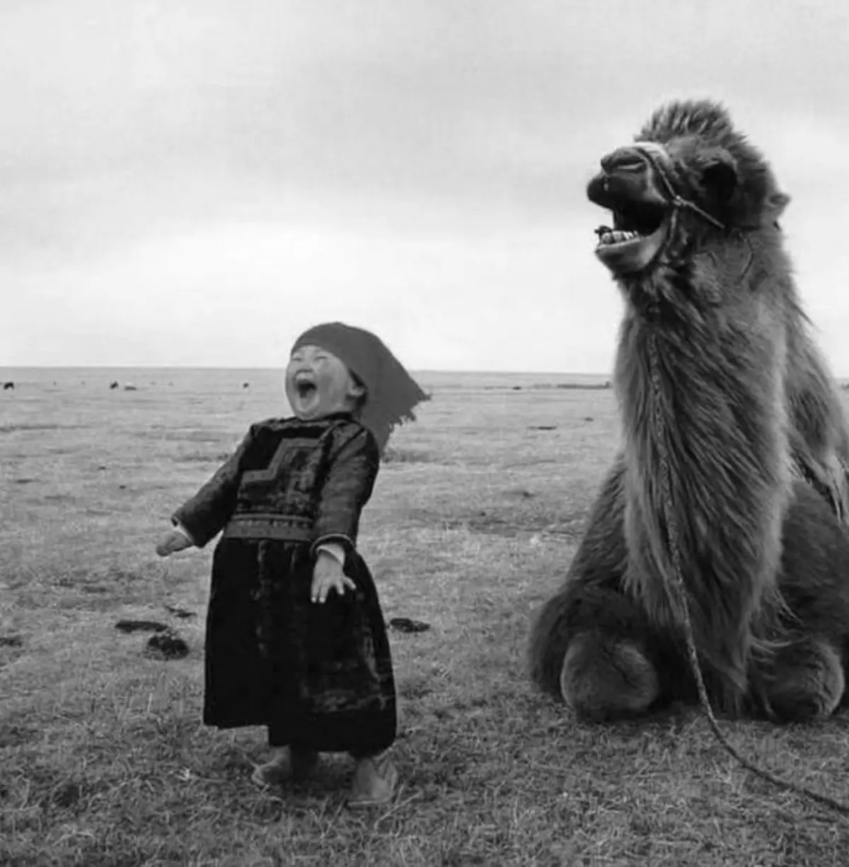 A black-and-white photo shows a young child in traditional clothing laughing joyfully while standing next to a large camel…