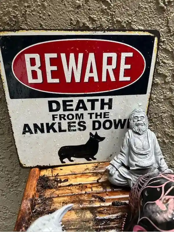 A weathered, rusty metal sign reads 'BEWARE DEATH FROM THE ANKLES DOWN' with a black silhouette of a corgi beneath the text…