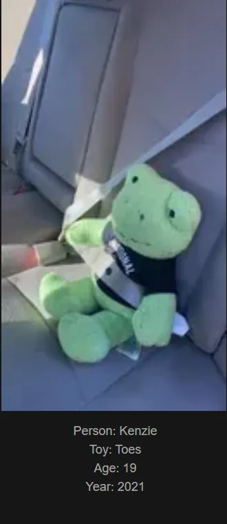 A green plush frog toy wearing a black t-shirt and a seatbelt is sitting in the backseat of a car. Overlaid text identifies…