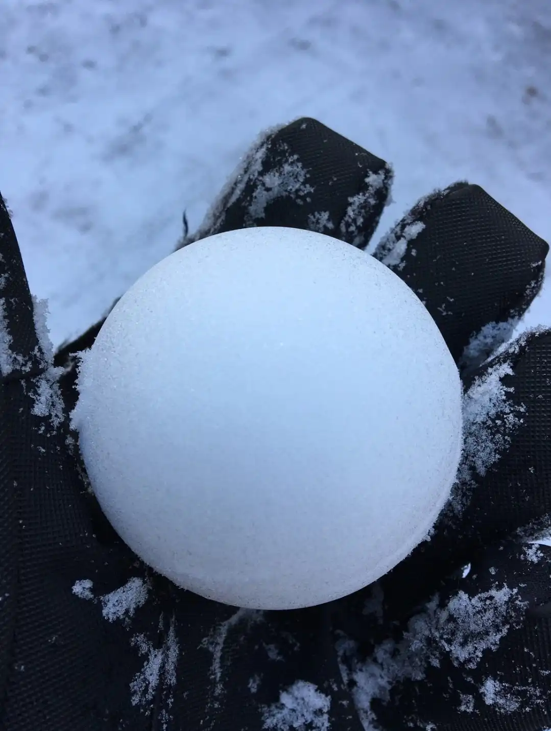 Behold the Ultimate Snowball Masterpiece!