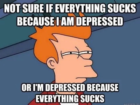 The image shows the animated character Fry from Futurama, looking downcast with a weary expression. White bold text is…