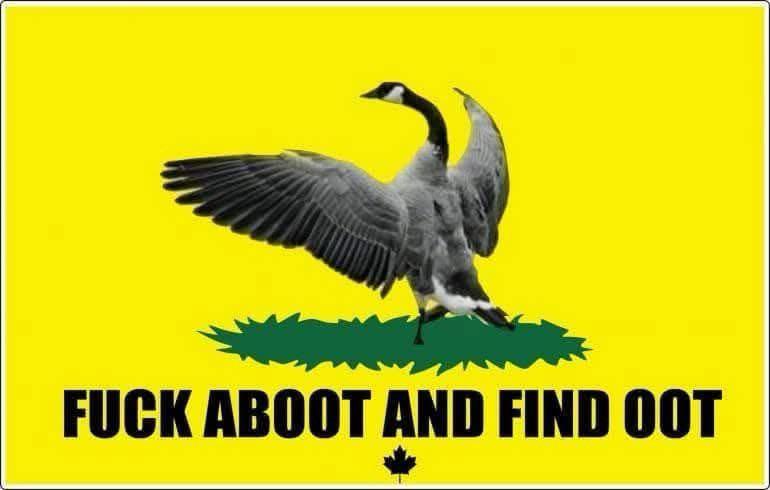 A canadian goose with wings spread stands on a green patch of grass against a bright yellow background. Below the goose…