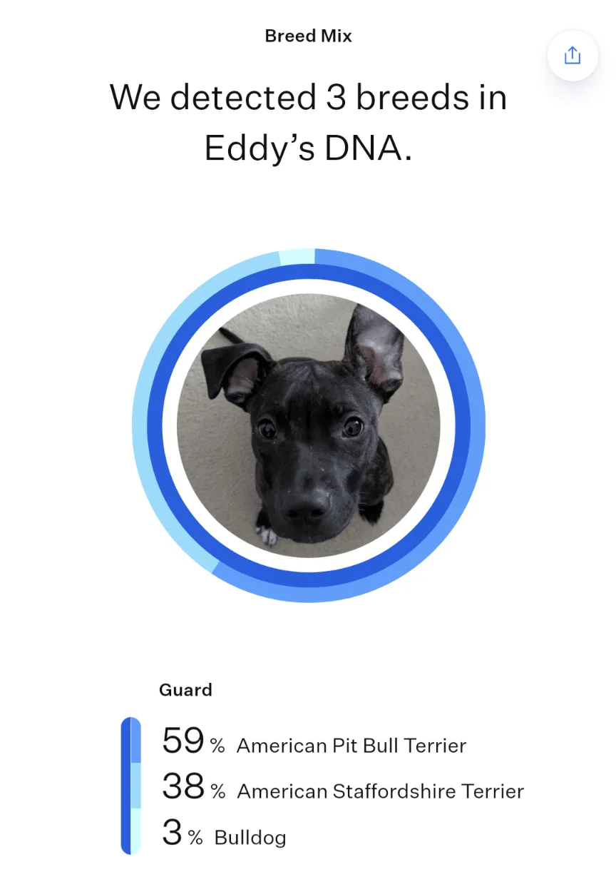 A dog DNA test result screen shows a black puppy named Eddy with a circular graphic around its photo. The text states three…