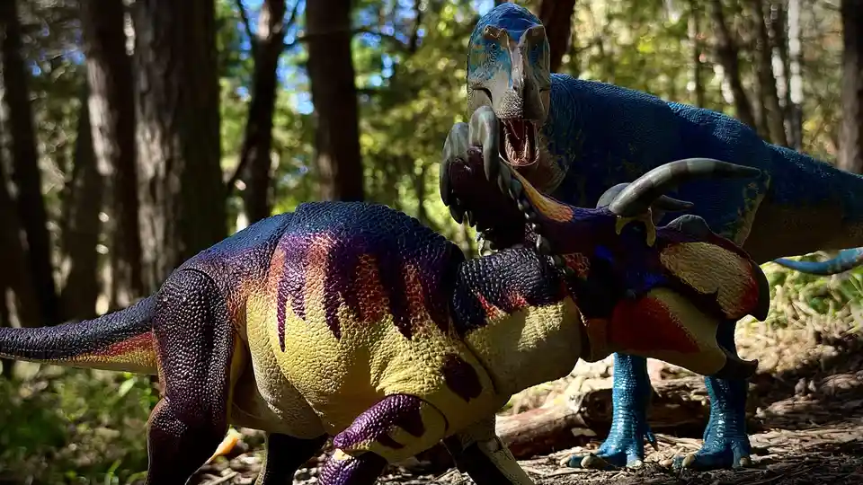 Two plastic dinosaur toys are staged in a forest setting, one blue raptor-like dinosaur is attacking a colorful triceratops…