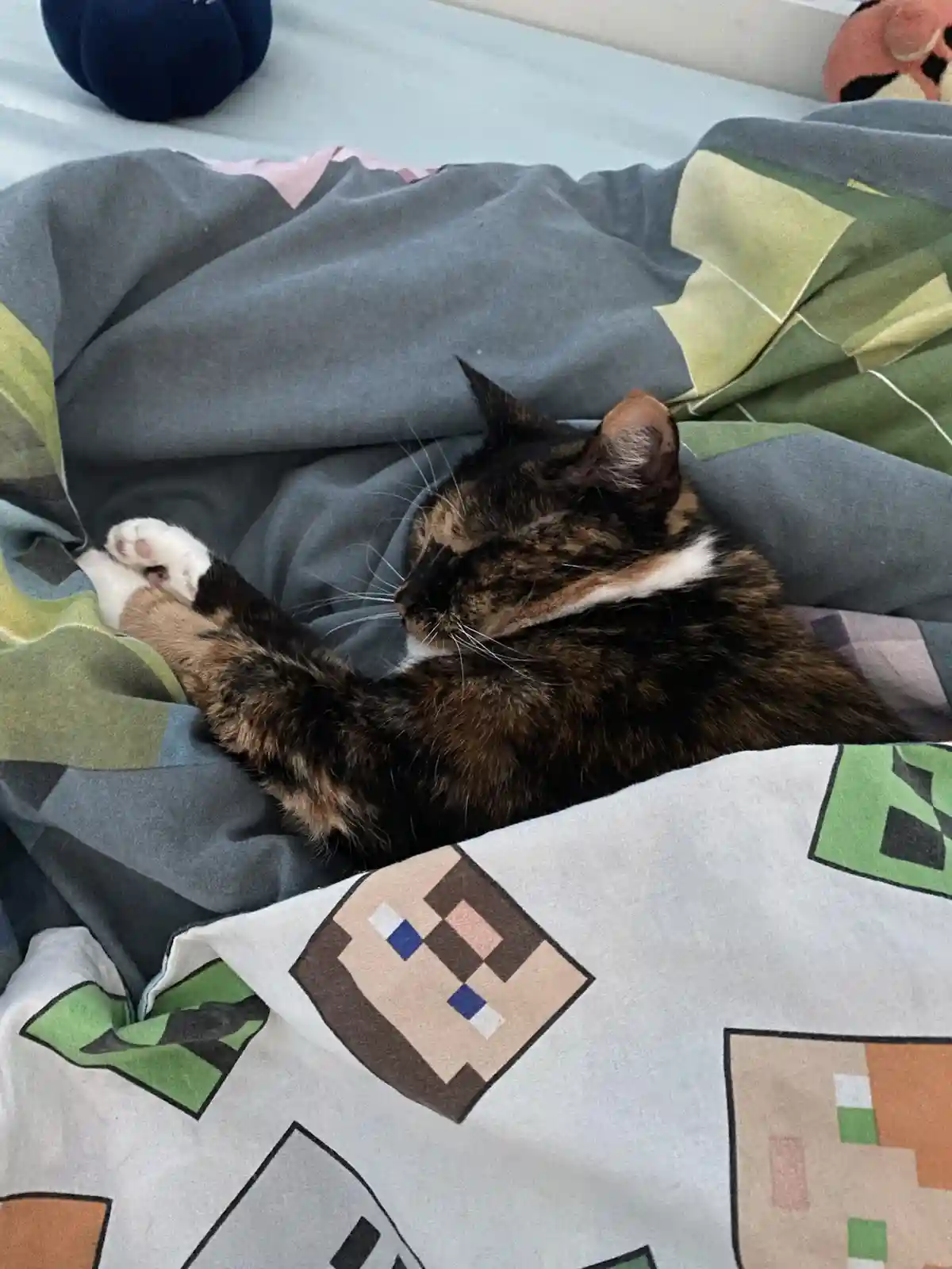 A calico cat is curled up and sleeping soundly on a bed with a Minecraft-themed blanket, its paws tucked under its chin. The…